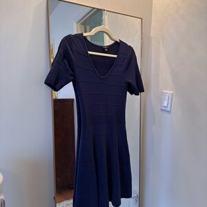 Ann Taylor Navy Dress